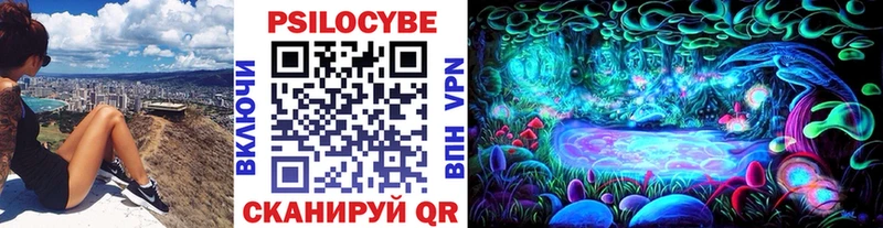 Галлюциногенные грибы Psilocybine cubensis  Рыбное 